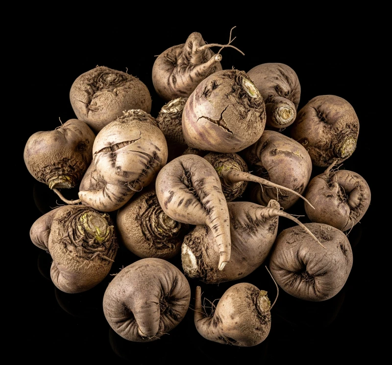 Влияние засухи на сахарную свеклу